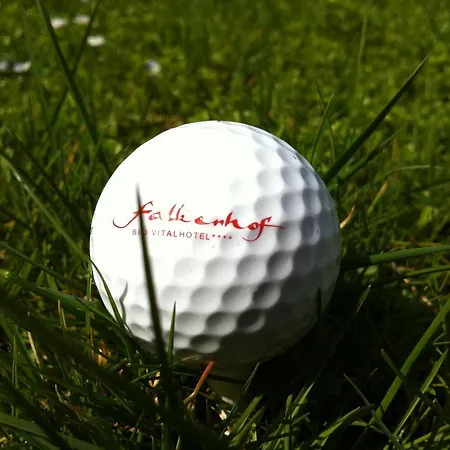 Hotel Bio Thermalhotel Falkenhof