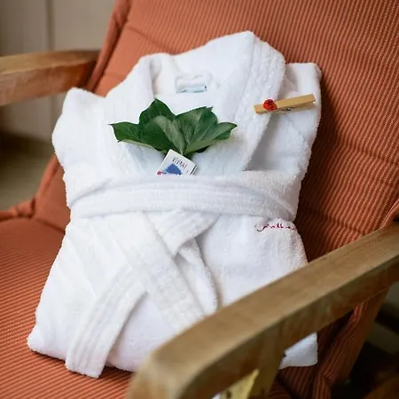 Bio Thermalhotel Falkenhof Hotel Bad Füssing