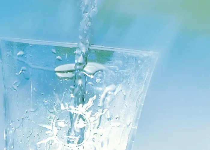 Bio Thermalhotel Falkenhof 4* 巴特法兴格