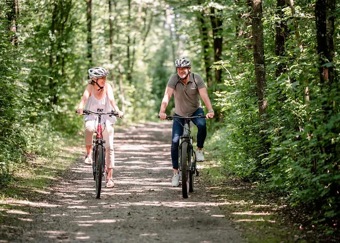 Bio Thermalhotel Falkenhof 酒店 4*